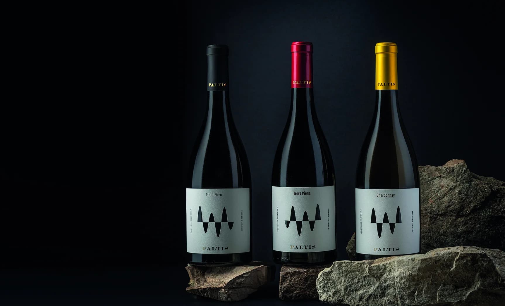 Le tre bottiglie Paltis, Pinot Nero, Terra Piena e Chardonnay, posate su rocce di montagna